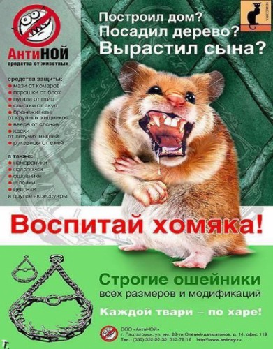 1409596240_foto00010.jpg