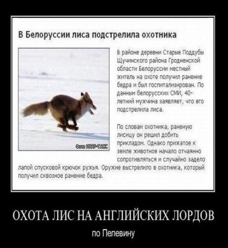 6d52a4dfcaa80916c4929e579483a.jpg