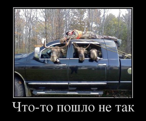 014826bcc3bbdddcc3fb42900f040.jpg