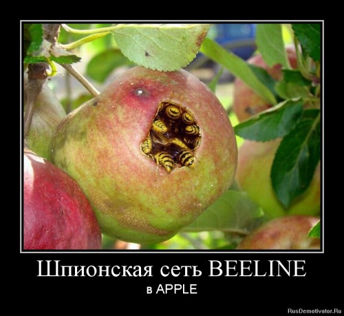 1346225228-shpionskaya-set-beeline.jpg