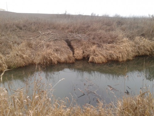 20141113_162748.jpg