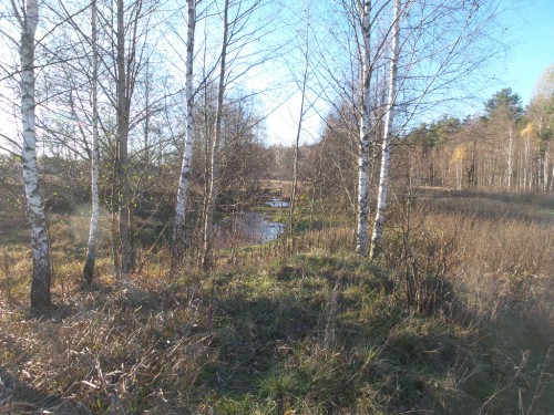 20141024_162303.jpg