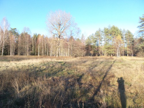 20141024_162306.jpg