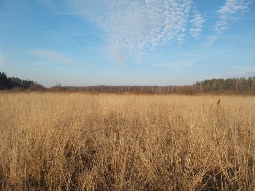 20141103_154105.jpg