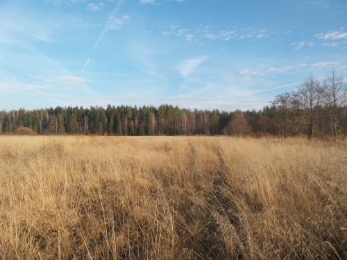20141103_154108.jpg