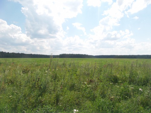 20140727_132621.jpg