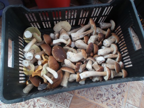 20140905_155803.jpg