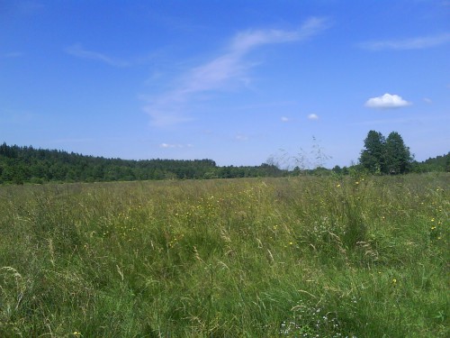 DSC00034.JPG