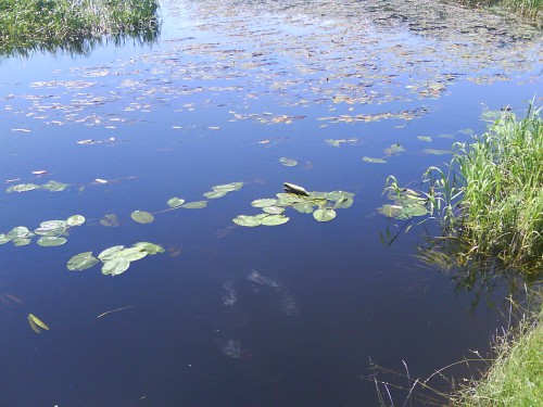 DSC00036.JPG