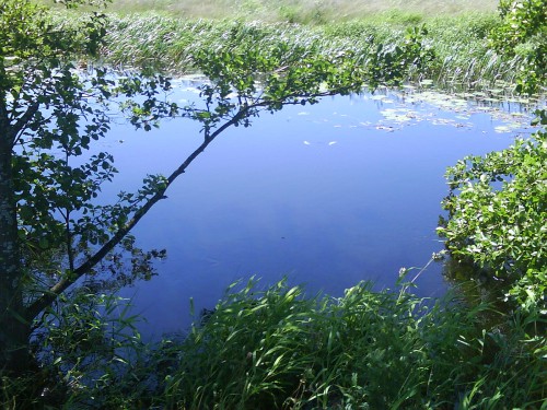 DSC00038.JPG