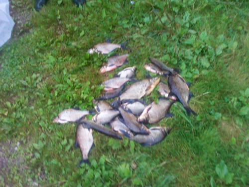 2012-08-18 10.41.16.jpg