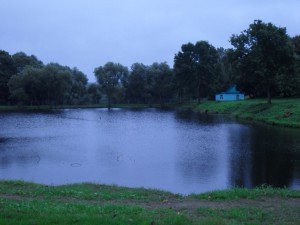 SDC12820.jpg