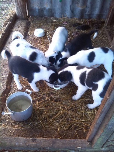 IMG_20141216_103048.jpg (1.15 МБ) Просмотров: 3032 IMG_20141216_103048.jpg