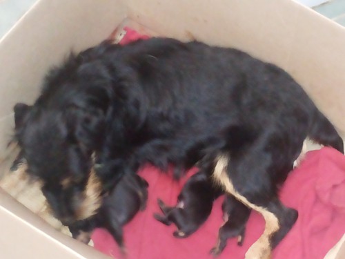 20150106_174758.jpg (1.59 МБ) Просмотров: 1834 20150106_174758.jpg