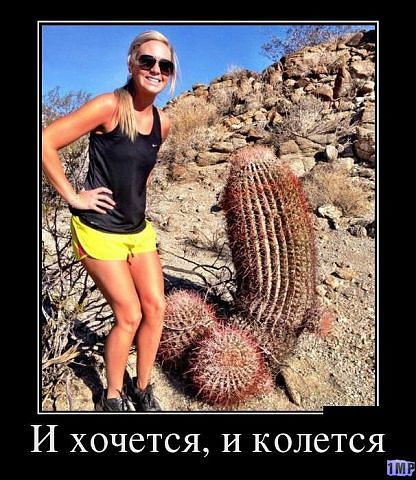 getImage (6).jpg