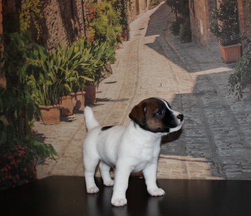 IMG_2378.jpg (1.69 МБ) Просмотров: 3037 IMG_2378.jpg