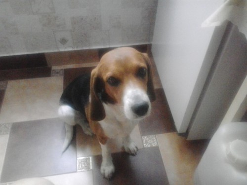 2012-05-25 18.48.30.jpg