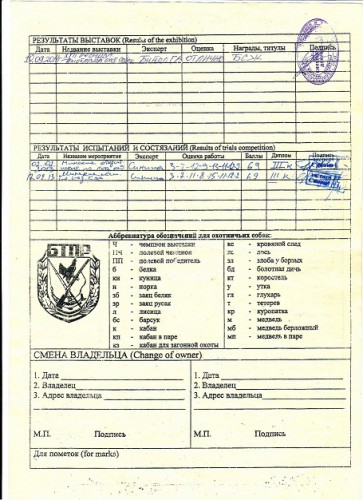 рой 001 (1).jpg