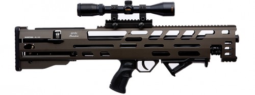 r_0005_bullpup.jpg