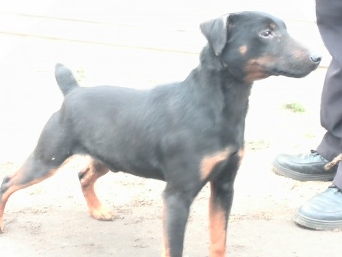 IMG_20140304_174717.jpg (1.01 МБ) Просмотров: 11521 IMG_20140304_174717.jpg