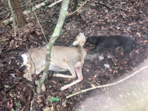 1212.jpg (1.77 МБ) Просмотров: 11515 1212.jpg