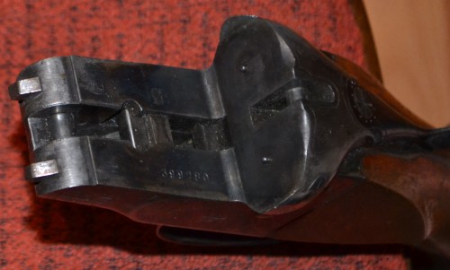 DSC_0243.JPG