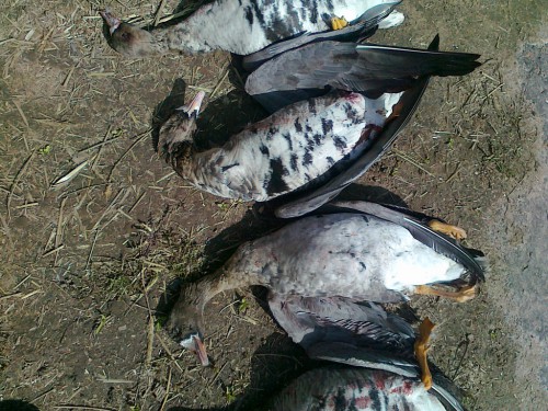 190420152097.jpg (519.57 КБ) Просмотров: 23654 190420152097.jpg