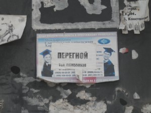 SDC11329.JPG