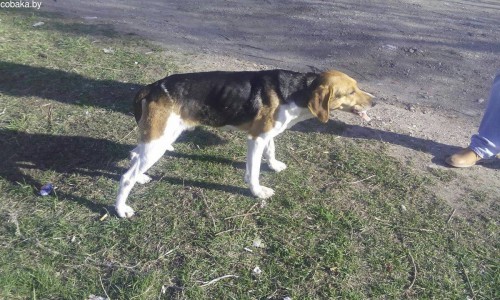 Share2015-04-28-642c7c4946dd8e278944716362f9306f9975a6302f5f924e2b9e4a9a5c21454e-Picture.jpg (384.71 КБ) Просмотров: 3009 Share2015-04-28-642c7c4946dd8e278944716362f9306f9975a6302f5f924e2b9e4a9a5c21454e-Picture.jpg