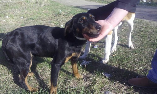 Share2015-04-28-c3a679a30665fa37a96ad9492b47d51a41224003d9f4beff396ae79b68a98d0a-Picture.jpg (313.51 КБ) Просмотров: 3009 Share2015-04-28-c3a679a30665fa37a96ad9492b47d51a41224003d9f4beff396ae79b68a98d0a-Picture.jpg