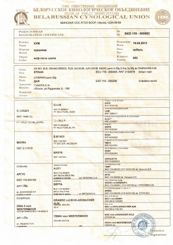 Кум.jpg (495.88 КБ) Просмотров: 2461 Кум.jpg
