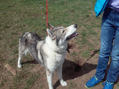 20150501_134050-22.jpg (1.36 МБ) Просмотров: 1412 20150501_134050-22.jpg