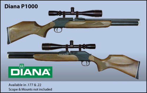 Diana_P1000.jpg (109.37 КБ) Просмотров: 10632 Diana_P1000.jpg