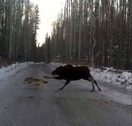 Редкий кадр.jpg