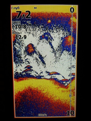 20150525_232316_800x1067.jpg (263.97 КБ) Просмотров: 10626 20150525_232316_800x1067.jpg