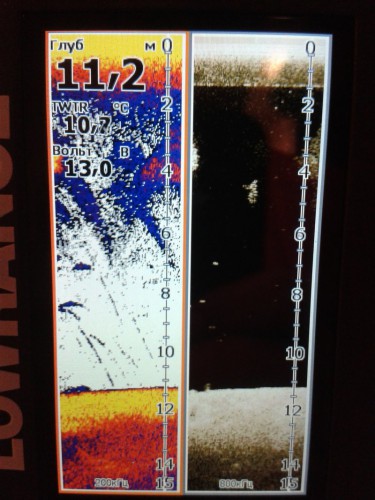 20150525_232423_800x1067.jpg (159.18 КБ) Просмотров: 10615 20150525_232423_800x1067.jpg