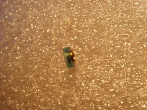 SNV32336.JPG