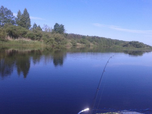 20150605_080437.jpg
