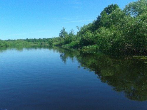 20150606_112642.jpg