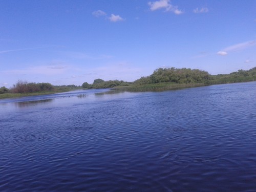 20150605_103926.jpg