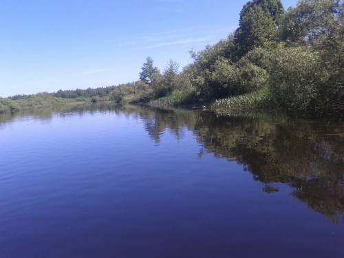 20150606_112648.jpg