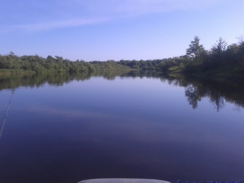 20150605_074710.jpg