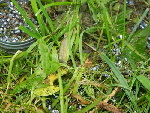 DSCN9601.JPG