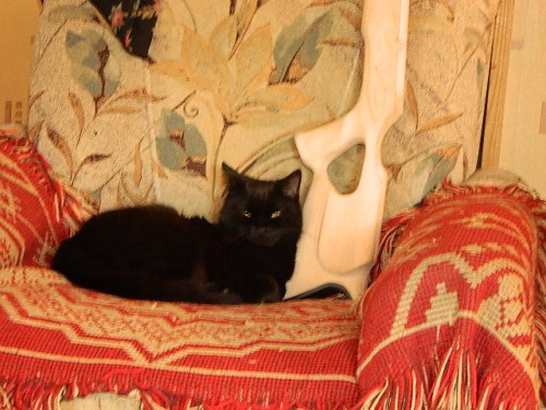 DSCN9697.JPG
