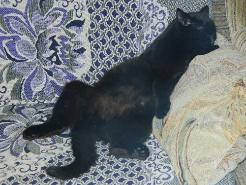 DSCN9536.JPG