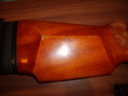 S5004621.JPG