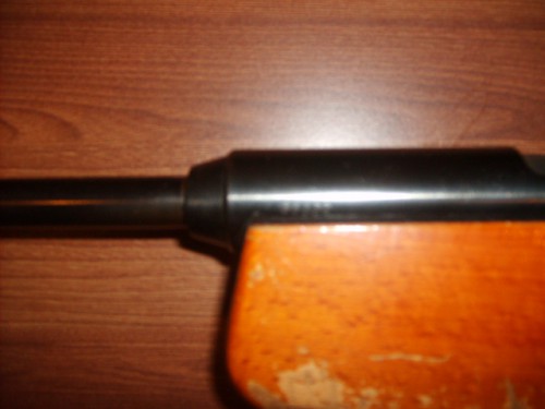 S5004627.JPG