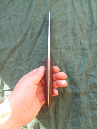 S5003519.JPG