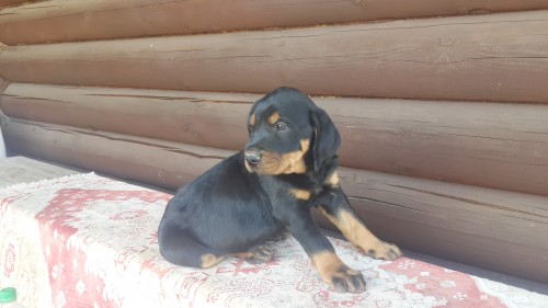 ΠΠ΅ΡΠΈΠΊ 002.jpg (1.63 ΠΠ) ΠΡΠΎΡΠΌΠΎΡΡΠΎΠ²: 1978 ΠΠ΅ΡΠΈΠΊ 002.jpg