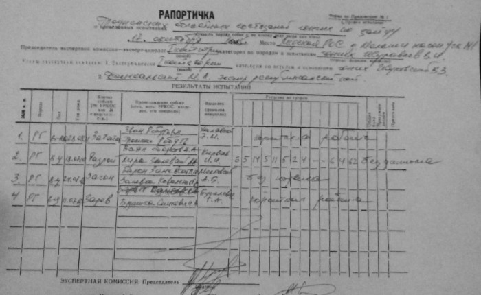 Рапортичка помощника машиниста образец